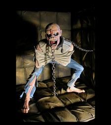 wpid resizedPOMeddie