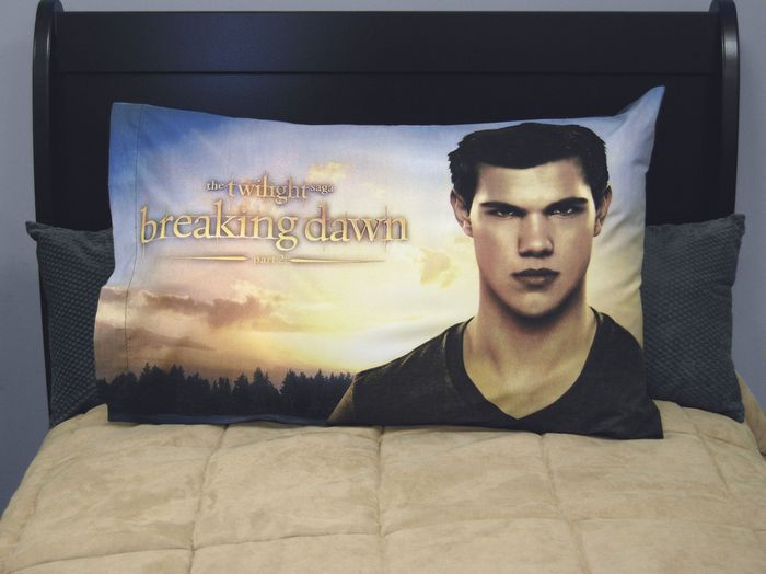 23317 Jacob Pillowcase