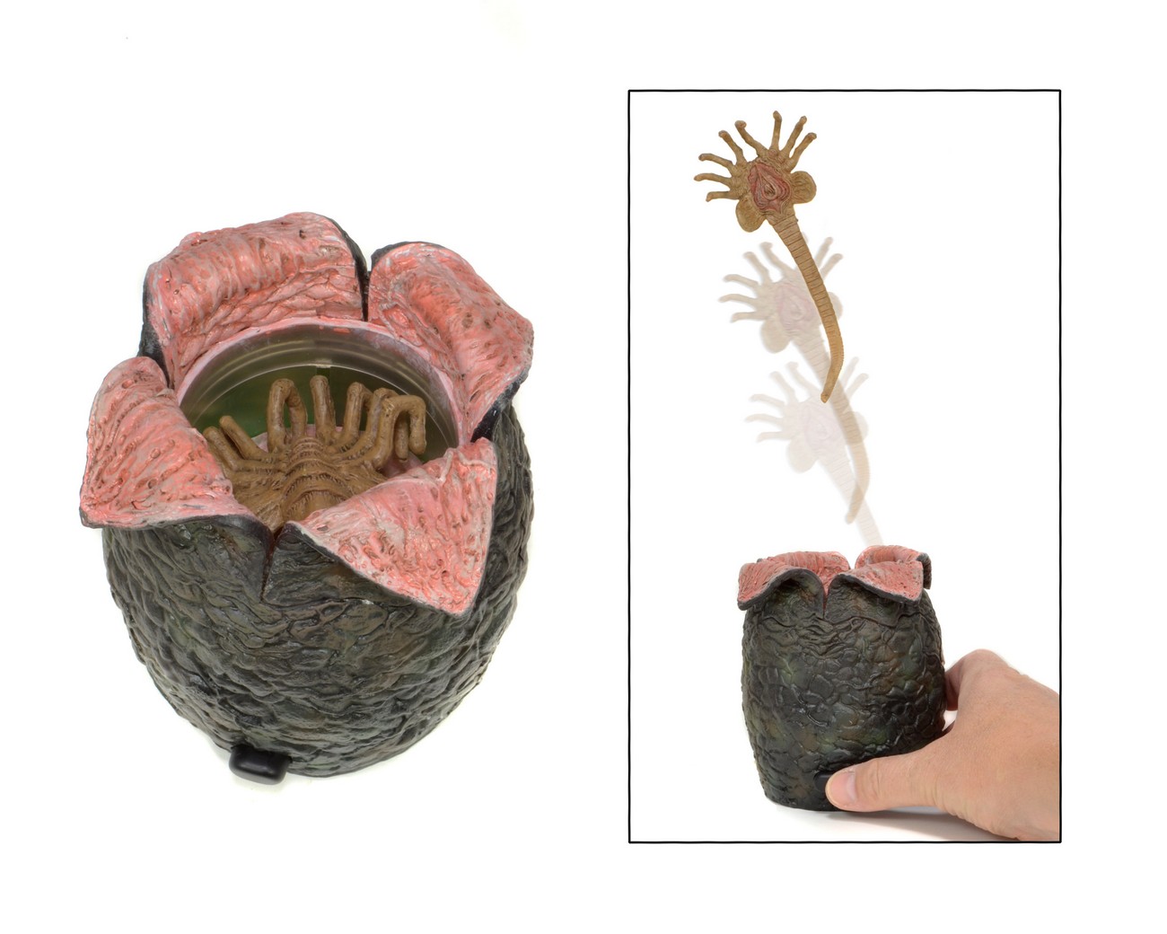 51386 EGGwith Launching Face hugger2