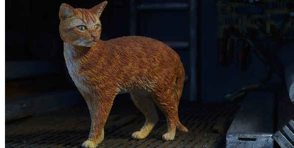 jonesycat 590x298
