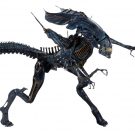 NECAOnline.com | Aliens - Xenomorph Queen Ultra Deluxe Boxed Action Figure
