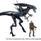 NECAOnline.com | Aliens - Xenomorph Queen Ultra Deluxe Boxed Action Figure