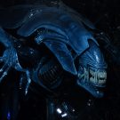 NECAOnline.com | Aliens - Xenomorph Queen Ultra Deluxe Boxed Action Figure