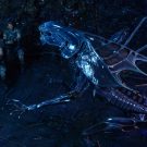 NECAOnline.com | Aliens - Xenomorph Queen Ultra Deluxe Boxed Action Figure