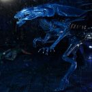 NECAOnline.com | Aliens - Xenomorph Queen Ultra Deluxe Boxed Action Figure