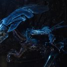 NECAOnline.com | Aliens - Xenomorph Queen Ultra Deluxe Boxed Action Figure