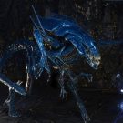 NECAOnline.com | Aliens - Xenomorph Queen Ultra Deluxe Boxed Action Figure