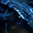 NECAOnline.com | Aliens - Xenomorph Queen Ultra Deluxe Boxed Action Figure