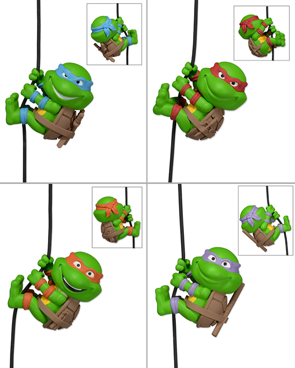 590 turtles scaler group