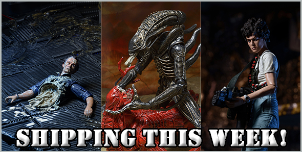 8 10 15 shipblog feat img