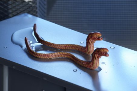 NECAOnline.com | 1300x Aliens Creature Pack3