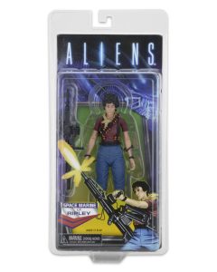 NECAOnline.com | Kenner Ripley7