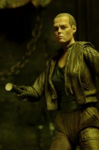 NECAOnline.com | 1300x Ripley7