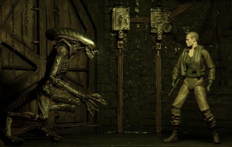 NECAOnline.com | 1300x Ripley9