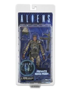 NECAOnline.com | 1200x 51613 Frost pkg