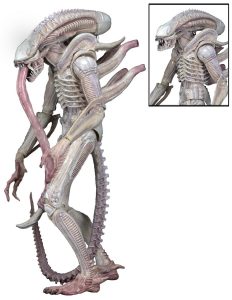NECAOnline.com | 1200x 51614 Albino Alien