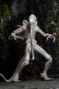 NECAOnline.com | 1200x Albino5