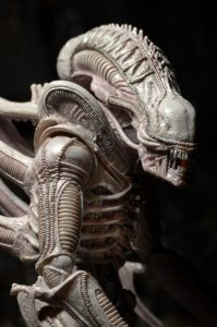 NECAOnline.com | 1200x Albino7