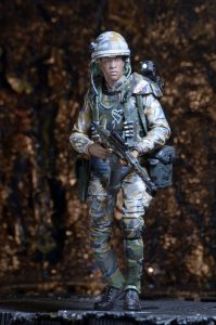 NECAOnline.com | 1200x Frost15