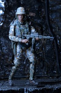 NECAOnline.com | 1200x Frost8