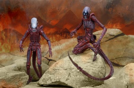 NECAOnline.com | 1200x TRU 2pk12