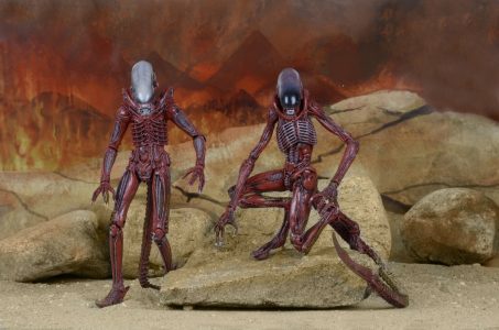 NECAOnline.com | 1200x TRU 2pk13