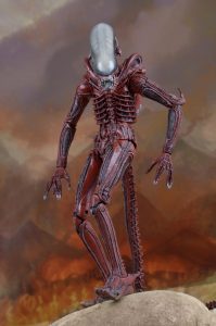 NECAOnline.com | 1200x TRU 2pk14
