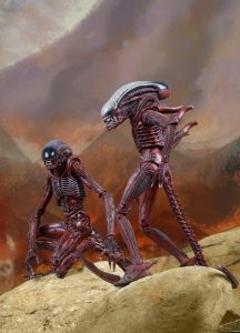 NECAOnline.com | 1200x TRU 2pk15