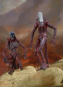 NECAOnline.com | 1200x TRU 2pk16