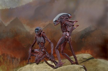 NECAOnline.com | 1200x TRU 2pk17