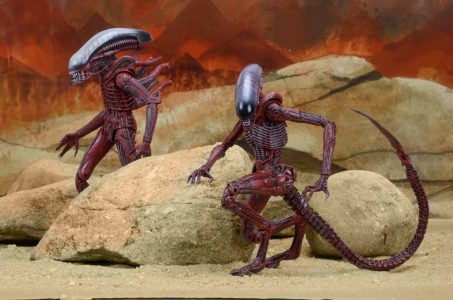 NECAOnline.com | 1200x TRU 2pk2