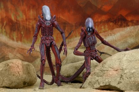 NECAOnline.com | 1200x TRU 2pk3