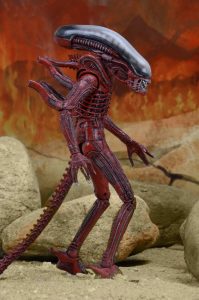 NECAOnline.com | 1200x TRU 2pk4
