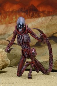 NECAOnline.com | 1200x TRU 2pk5