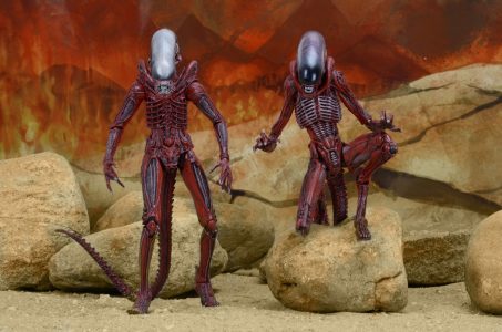 NECAOnline.com | 1200x TRU 2pk6