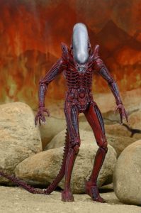 NECAOnline.com | 1200x TRU 2pk7
