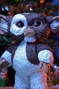 NECAOnline.com | 1200x Gizmo6