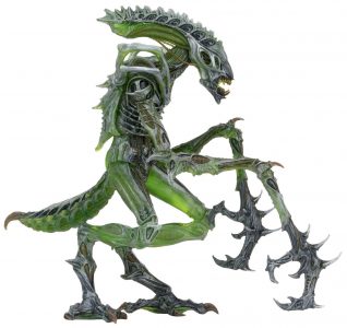 NECAOnline.com | 1200x 51619 Mantis3