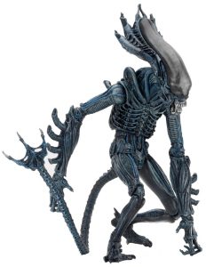 NECAOnline.com | 1200x 51620 Gorilla3