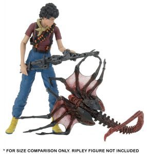 NECAOnline.com | 1200x 51621 Facehuggers4