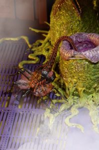 NECAOnline.com | 1200x Facehugger1