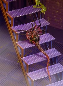NECAOnline.com | 1200x Facehugger3