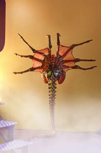 NECAOnline.com | 1200x Facehugger5