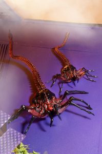 NECAOnline.com | 1200x Facehugger6