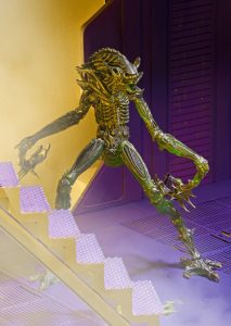 NECAOnline.com | 1200x Mantis14