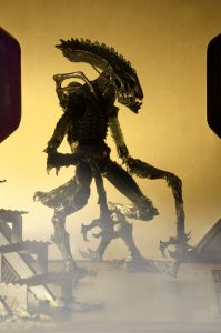 NECAOnline.com | 1200x Mantis15