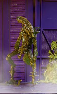 NECAOnline.com | 1200x Mantis7