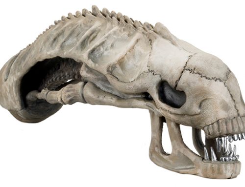 DISCONTINUED: Aliens – Foam Replica – 36″ Alien Skull