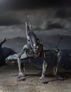 NECAOnline.com | 51658 Xeno3