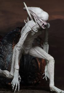 NECAOnline.com | 51659 NeoMorph 2